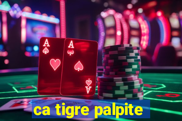 ca tigre palpite